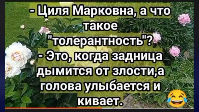 Анекдоты,юмор для хорошего настроения смотреть онлайн