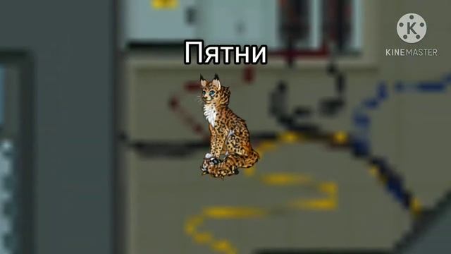 СОЕДИНИЛА АМОНГ АС И CATWAR!!! смотреть онлайн