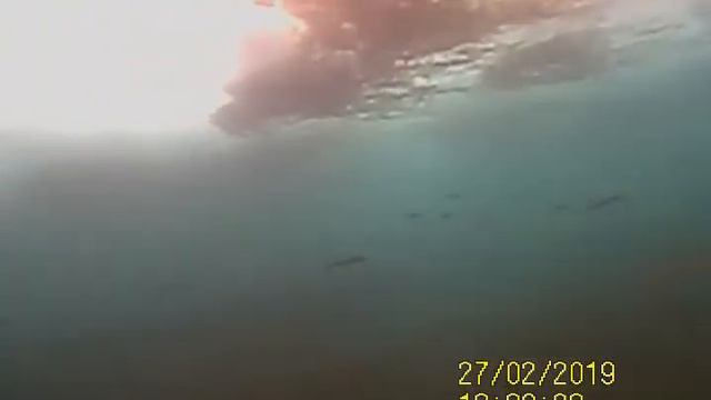 Шествие хариуса в центре Иркутска смотреть онлайн