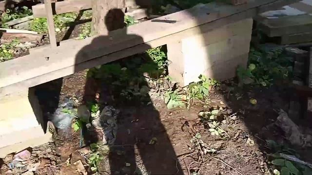 Итоги 2021 года. Жизнь в доме, строительство дома брата и многое другое. смотреть онлайн