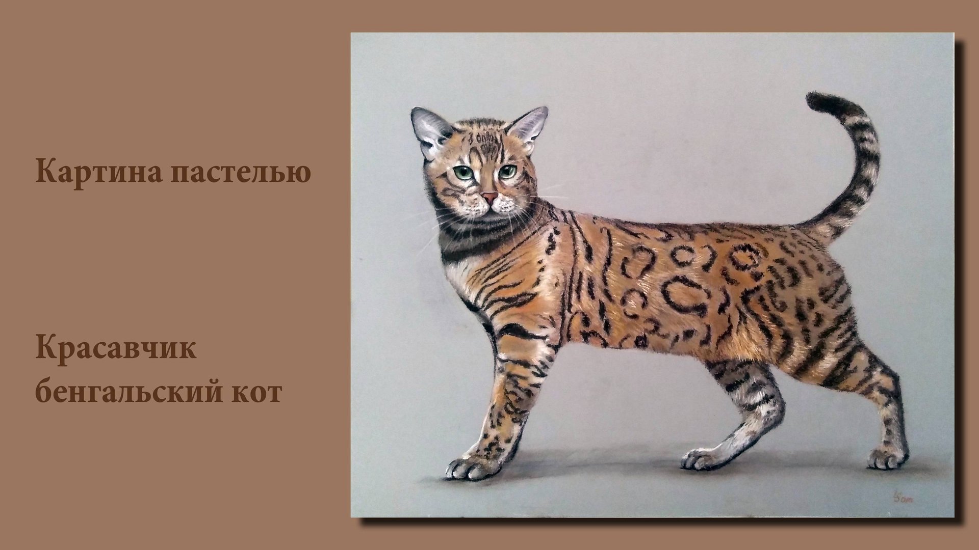 Картина пастелью – Красавчик бенгальский кот | A Handsome Bengal Cat