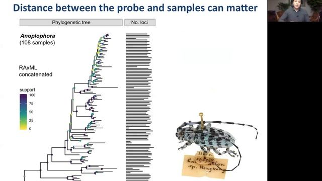 Sang Il Kim - Phylogeny of the largely tropical cerambycid genus Anoplophora Hope смотреть онлайн