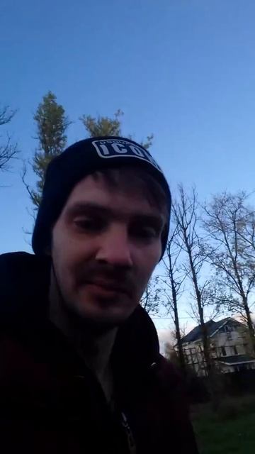 Лошади в городе. смотреть онлайн