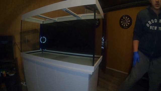 Запуск 350 литрового аквариума. Juwel Rio 350. Цихлидник. смотреть онлайн