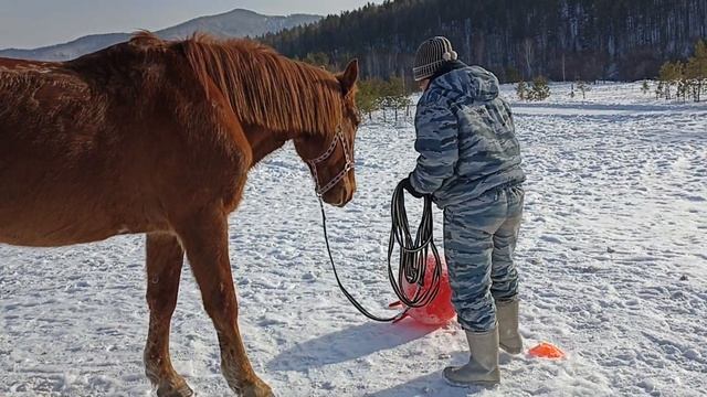 Горец(2) смотреть онлайн