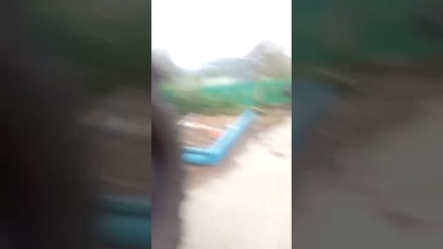 Не купили телефон сошла с ума😅😆😀😂😈😵 смотреть онлайн