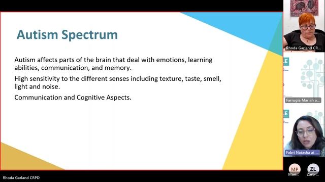 EPALE NSS Malta Webinar 5 CRPD Disability Etiquette and Access to Education 20230623 140542 Meetin смотреть онлайн