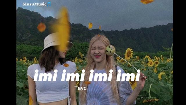 imi imi imi imi // N'y Pense Plus // Tayc [TikTok Song] смотреть онлайн