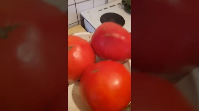 Healthy food-an old tomato seal-Dojran-Macedonia/ZDRAVA HRANA-STARO SEME NA DOMATI-DOJRAN-MAKEDONIJ смотреть онлайн