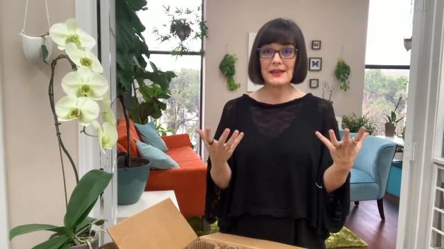 Leslie Halleck: Petite Prince Plants Unboxing! смотреть онлайн