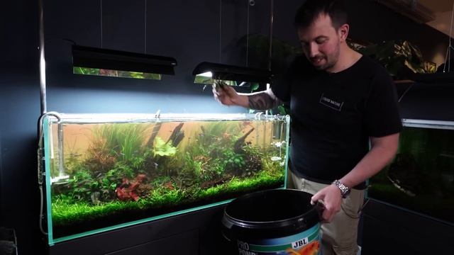 XXL Aquarium Pflege! Rückschnitt im ADA 120P! смотреть онлайн