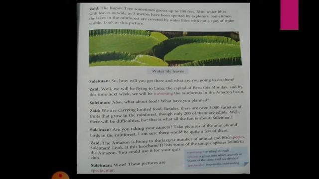 Class 5 English Chapter 5-To the Amazon смотреть онлайн