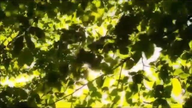 Душа моя ещё девчонка Муз.Городков Сергей, исп. Будилова Любовь смотреть онлайн