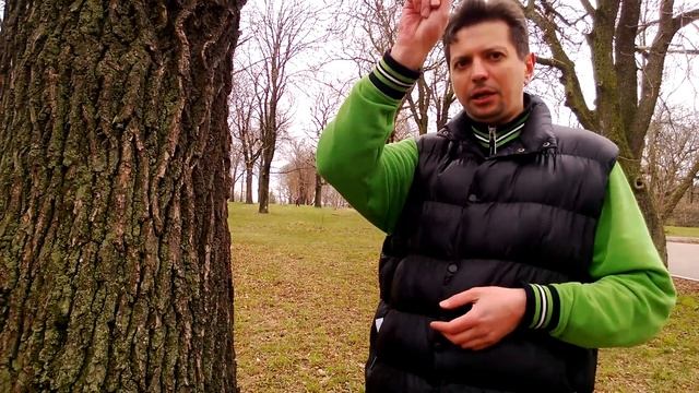 Волшебная практика пробуждения дерева смотреть онлайн