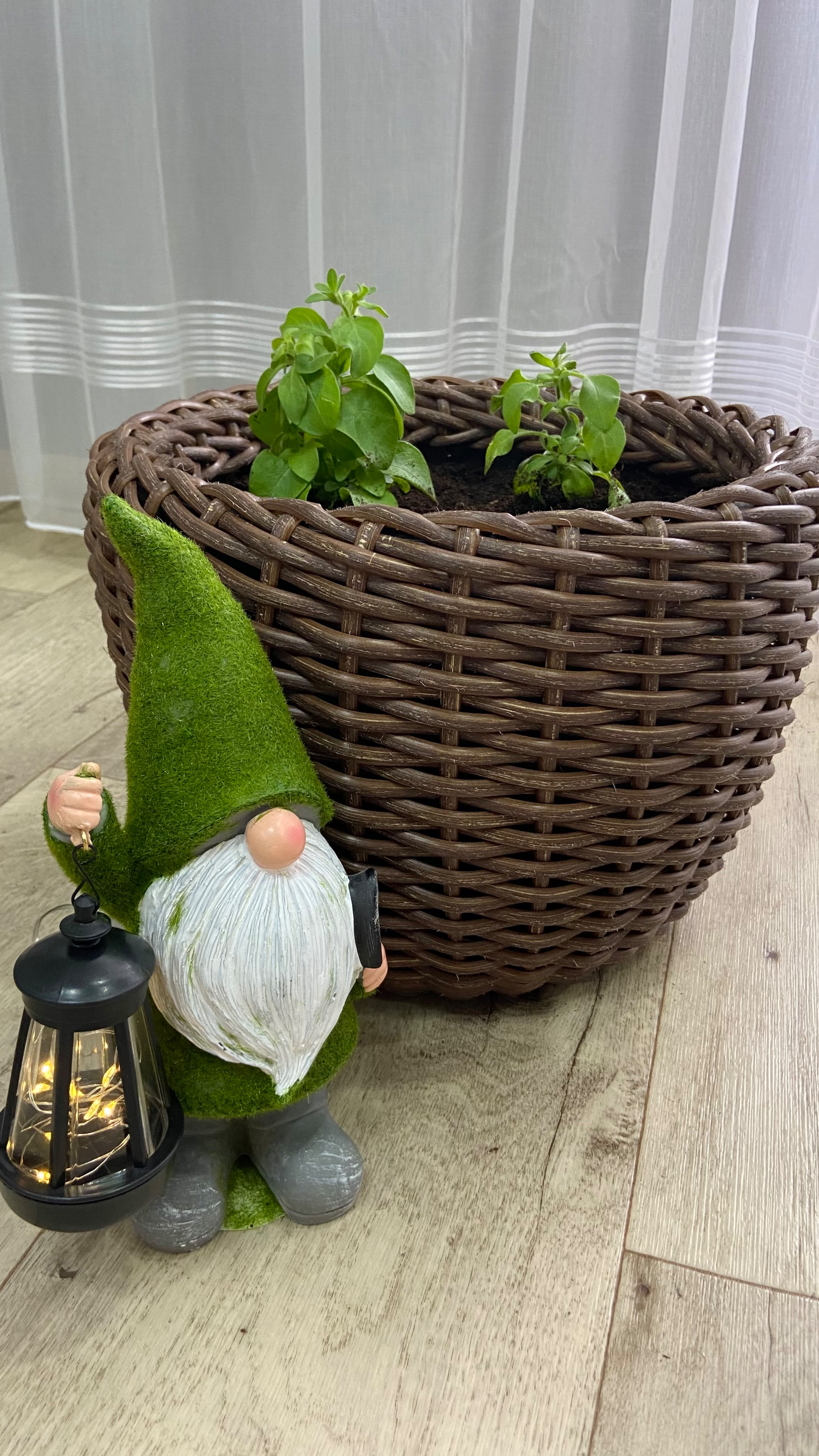 Посадила гортензии и петунии. смотреть онлайн