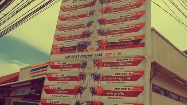 SCOOP писает какает и стоит 59 бат!