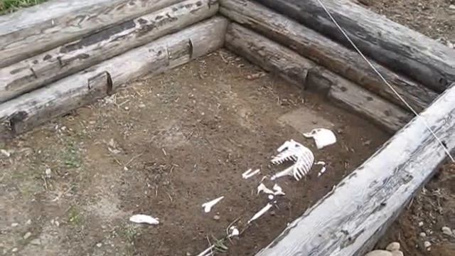 Карелия. Хутор Милка смотреть онлайн