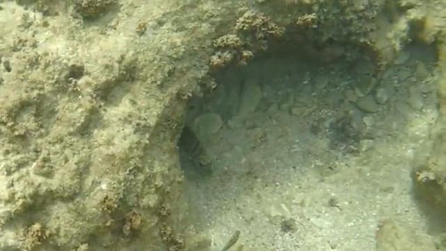 HOF-HA-CARMEL HAIFA смотреть онлайн