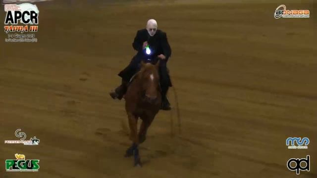 FREESTYLE - FERRARESI FABIO - DB MISS MAJORS DOLL