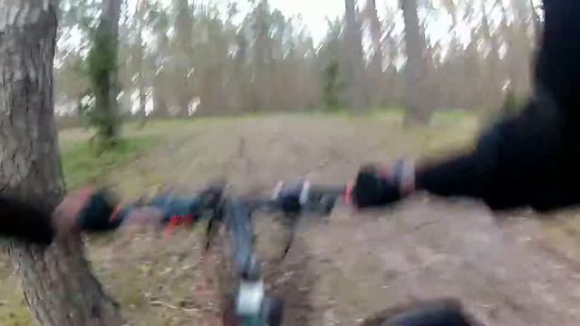 Питерский лес v2 смотреть онлайн