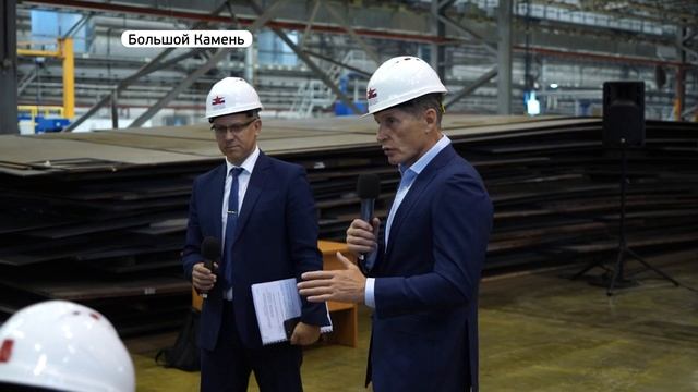 В Большом Камне откроют питомник для бездомных собак смотреть онлайн