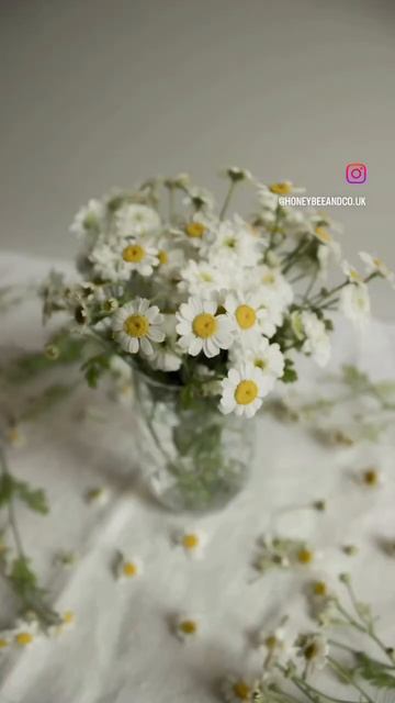 Did anyone say Daisies? 🥰 смотреть онлайн