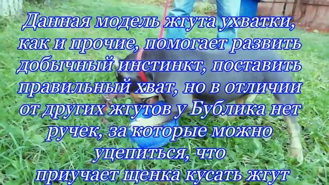 Жгут ухватка "БУБЛИК" ДЛЯ щенков TORIN 4 смотреть онлайн