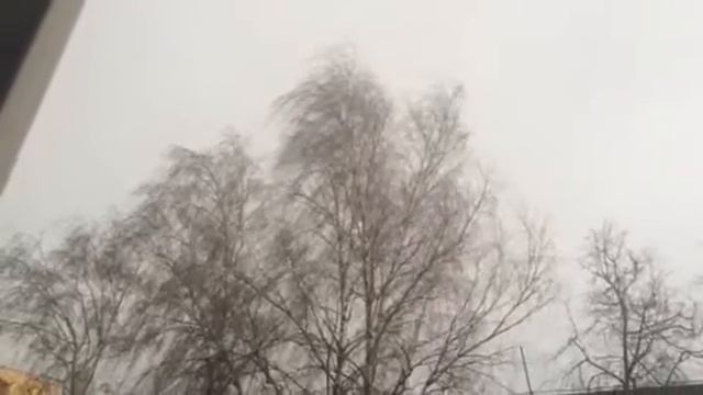 Первая гроза и сильный дождь в Коломне смотреть онлайн