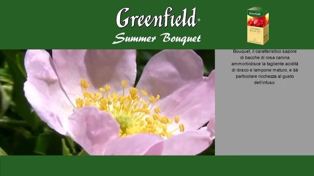 Summer Bouquet смотреть онлайн
