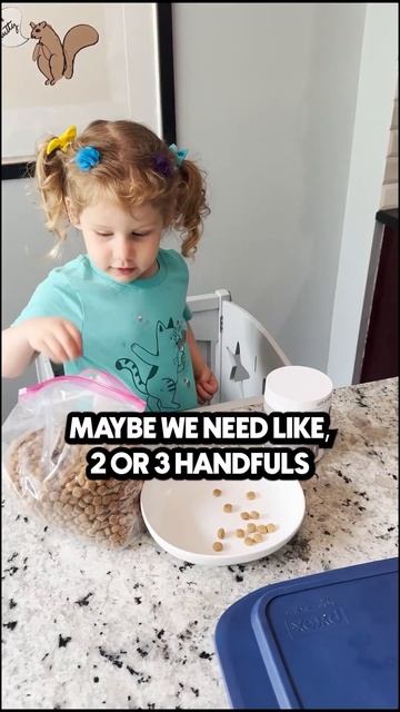 Will he want what she’s serving? 😁 King George the Frenchie #food #dog #chicken #lunch #cute смотреть онлайн