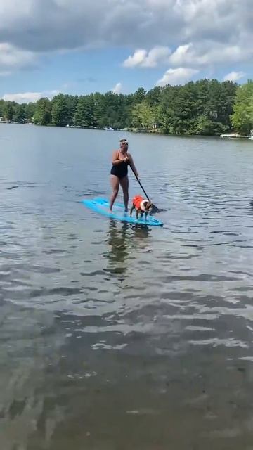 I can paddle board #hoodornament смотреть онлайн