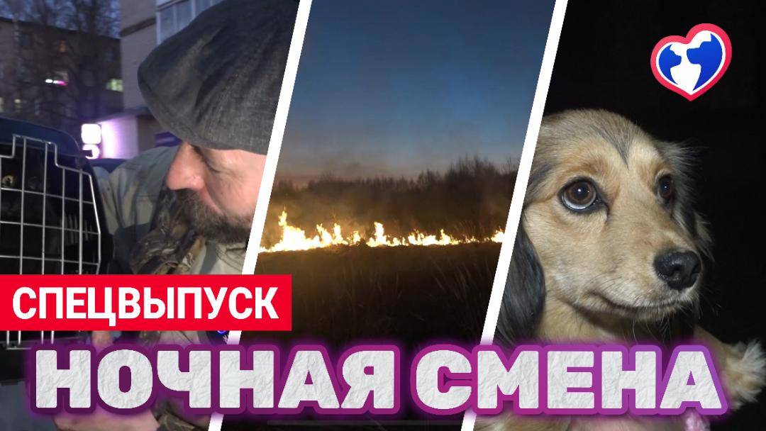 СПЕЦВЫПУСК: Ночная смена