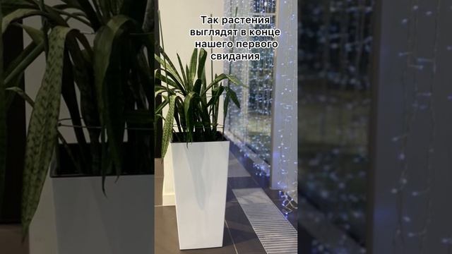 Как не потерять 80000₽