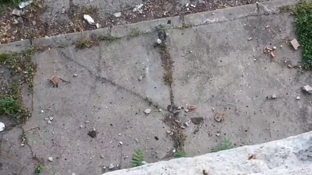 😱😱😱AM MERS LA O FABRICA PARASITA!😱😱😱 смотреть онлайн