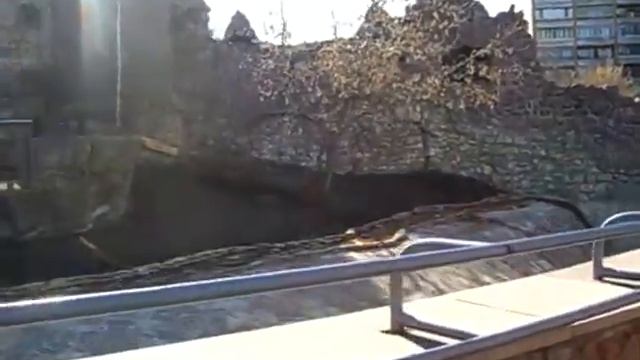 В московском зоопарке Июль 2007 смотреть онлайн