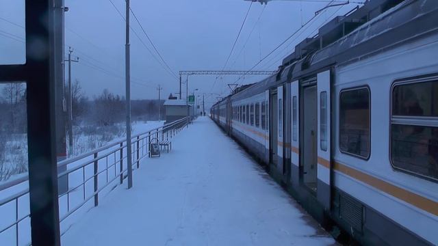 Электропоезд ЭД4М-0474 ЦППК платформа Сушкинская смотреть онлайн