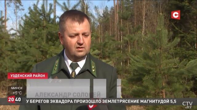 Итоги акции "Неделя леса" смотреть онлайн