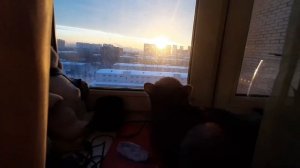 Кот-романтик встречает рассвет😉🙃🙂