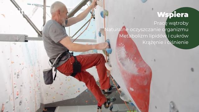 Jiaogulan - Żyj Mocniej!