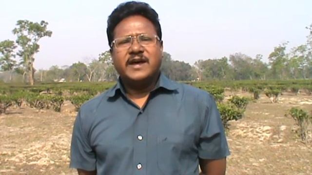 Grants 2014: PAJHRA intro to Maternal Health Services for Tea Garden Workers in Assam смотреть онлайн