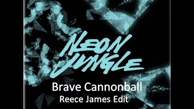 Showtek & Justin Prime Vs Neon Jungle - Brave Cannonball (Reece James Edit) смотреть онлайн