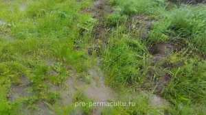 Пермакультура. Как работают валоканавы.