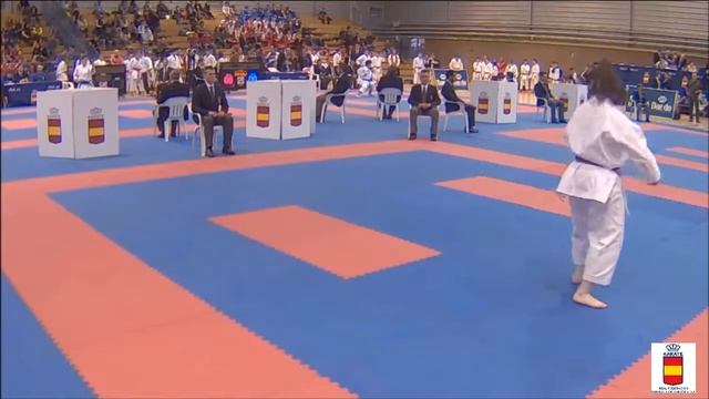 PAIKU AKA=KURURUNFA AO = ALBACETE 2015 KARATE.. смотреть онлайн