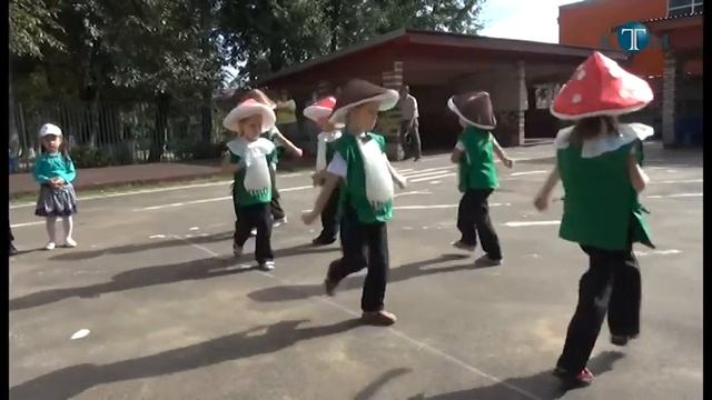 Грибы Калининца смотреть онлайн