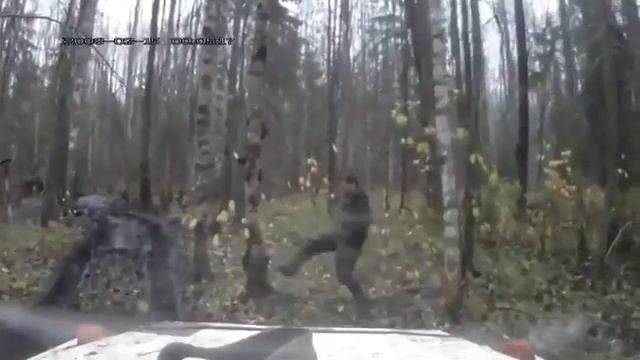 Дерево и каратэ смотреть онлайн