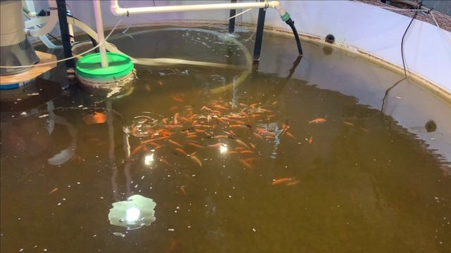 Мошенники!Новое кидалово с именем OZONа... смотреть онлайн