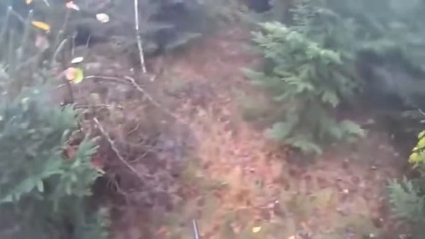 Опасные моменты на охоте