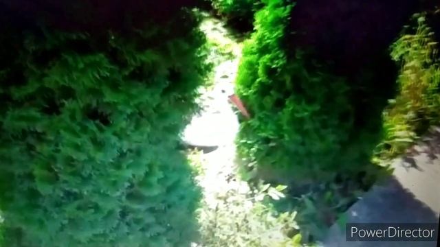 Мій день.Сад Город. Дача у родичів. Мій кРай. влог. смотреть онлайн