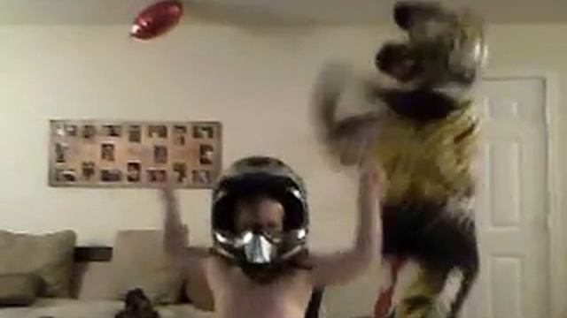 Harlem Shake motocross style смотреть онлайн