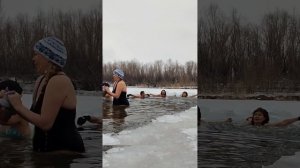 СЕДОЙ КАСПИЙ. МОРЖИ АСТРАХАНИ. Купание.